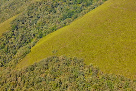 Oak tree forest landscape in Asturias. Muniellos viewpoint. Spain