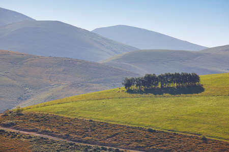 Forest mountain landscape in Asturias. Nature tourism in Spain. Horizontalの写真素材