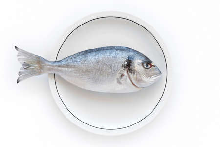 Gilthead fish over a white dish. Healthy and fresh cuisine