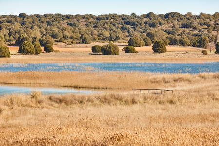 Wetlands in Spain. Lagunas del Ruidera. Albacete Ciudad Real landscapeの写真素材