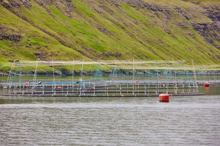 Salmon fishing farm pools in Faroe islands fjords. Aquaculture industryの写真素材