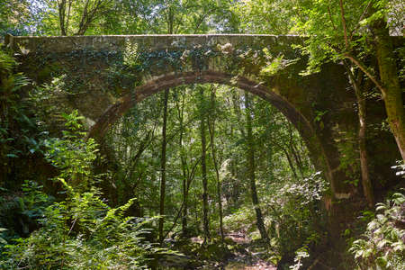 Ancient stone bridge sorrounded by nature. Fragas Eume river. Spainの写真素材