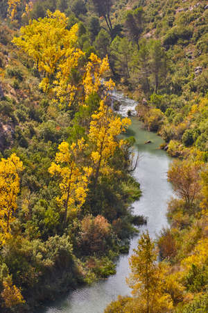 Autumn forest landscape with river. AlarcÃ³n, Cuenca. Spain