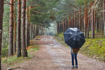 Woman walking in the forest under the rain. Beautiful footpath