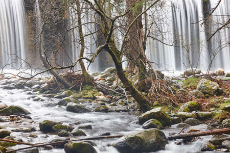 Forest creek and waterfall. Lozoya river in Madrid. Spainの写真素材
