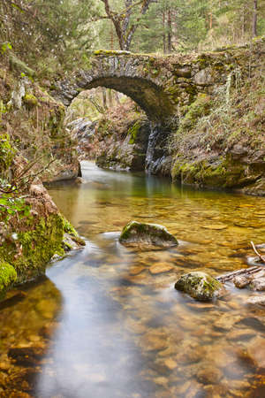 Forest and creek. Angostura picturesque stone bridge in Madrid. Spain
