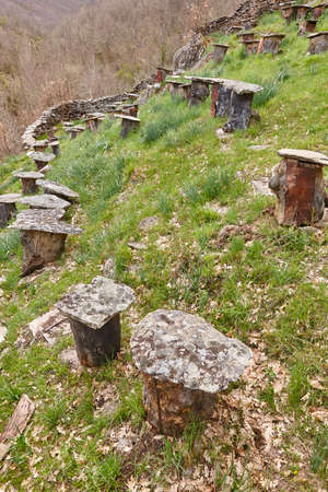 Tree trunks beehives and traditional natural apiary in La Hiruela