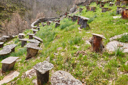 Tree trunks beehives and traditional natural apiary in La Hiruela