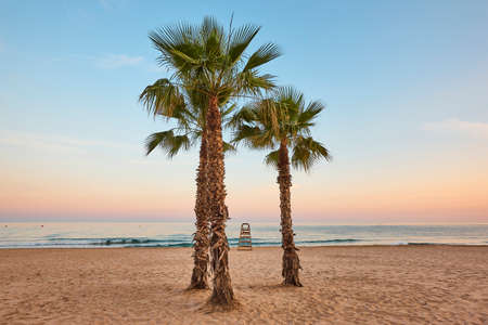Mediterranean sand beach with palm trees at sunset. Calpe, Spainの写真素材