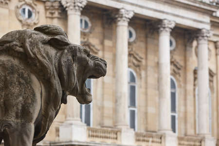 Hungarian national gallery facade and lion sculpture. Budapest landmarkの写真素材