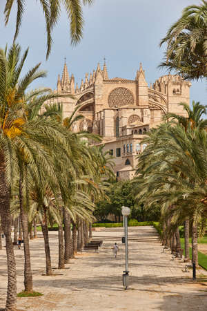Palma de Mallorca cathedral. Balearic islands. Spanish cultural heritage. Spainの写真素材
