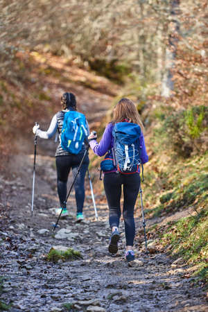 Two female hikers on a forest pathway. Outdoor healthy lifestyleの写真素材