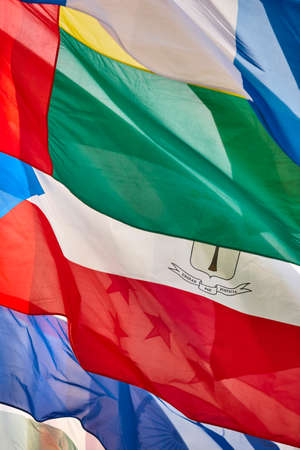 Flags of the word waving in the wind. Nation emblems