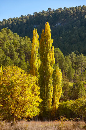 Beautiful sunny autumn landscape in Guadalajara, Castilla La Mancha, Spainの写真素材