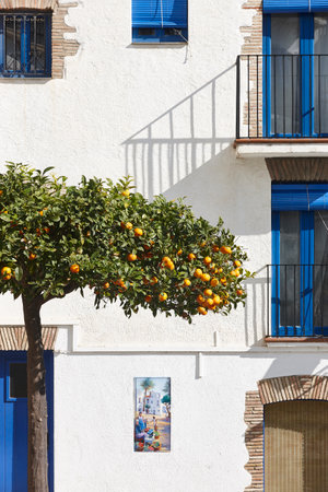 Picturesque mediterranean building facade in Cadaques. Costa Brava, Girona. Spainの写真素材