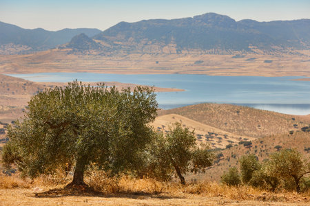 Lake scenery in Siberia extremena. La Serena reservoir. Badajoz, Spainの写真素材