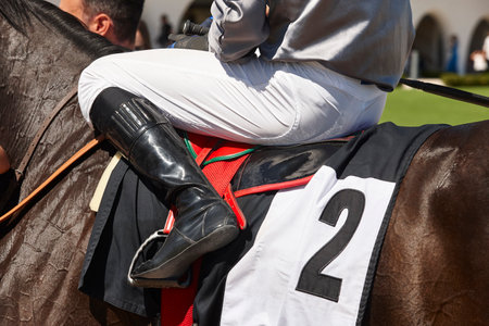 Race horse with jokey detail. Purebred in the hippodrome. Derbyの写真素材