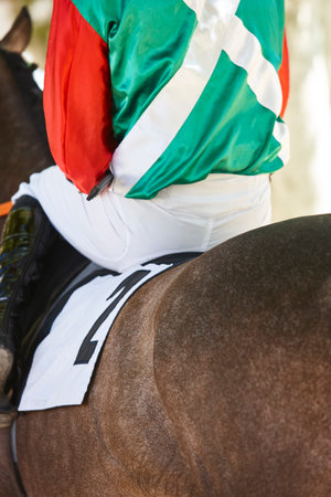 Race horse and jockey. Purebred in the hippodrome. Derbyの写真素材