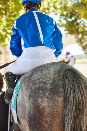 Race horse detail and jockey. Purebred in the hippodrome. Derby
