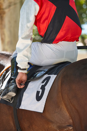 Race horse and jockey. Purebred in the hippodrome. Derby