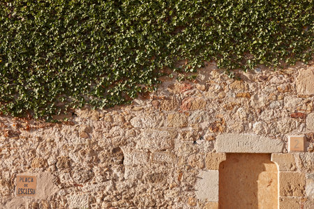 Traditional medieval village of Pals. Ivy and stone wall. Spainの写真素材