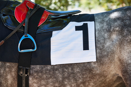 Race horse and horseman's shawl detail. Purebred in the hippodrome.の写真素材