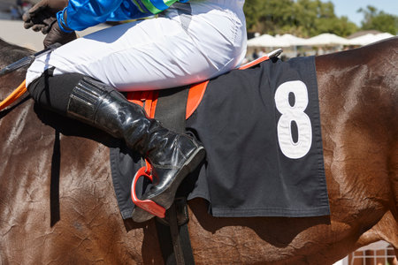 Race horse with jokey detail. Purebred in the hippodrome. Derbyの写真素材