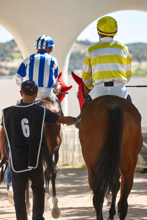 Race horses and jockeys. Purebred in the hippodrome. Derbyの写真素材