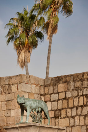 Ancient Capitoline wolf sculpture in Merida, Badajoz. Extremadura, Spainの写真素材