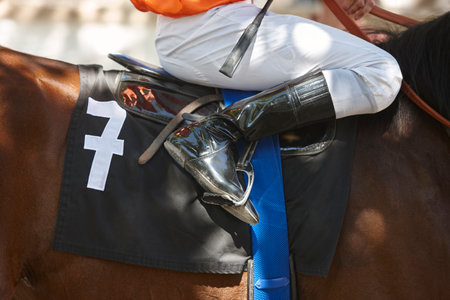 Race horse with jockey detail. Purebred in the hippodrome. Derbyの写真素材