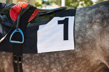 Race horse and horsemans shawl detail. Purebred in the hippodrome.の写真素材