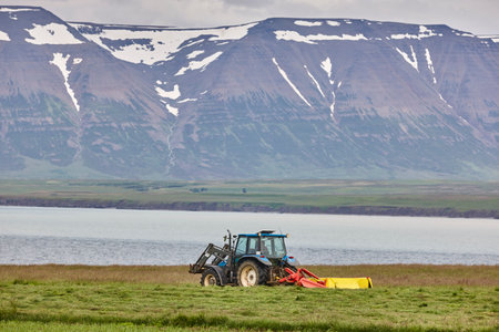 Icelandic farmer driving a tractor in Iceland countryside. Agriculture Iceland