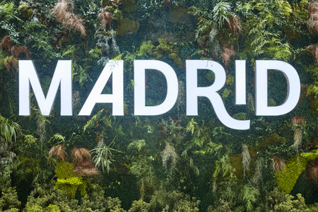 Madrid text with green plants vertical garden background. Madrid logoの写真素材
