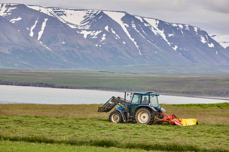 Icelandic farmer driving a tractor in Iceland countryside. Agriculture Iceland