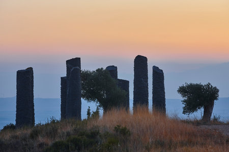 Granite tree trunks monolith sculptures at sunset. Huesca, Spainの写真素材