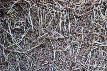 Texture of strawの写真素材