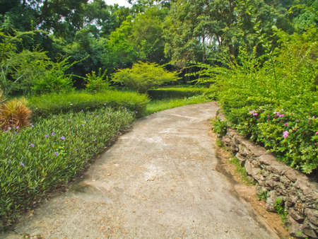 Landscaping in the garden  The path in the garden の写真素材