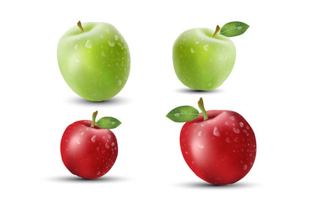 Realistic Red and Green Apples. Realistic 3d apples. Detailed 3d Illustration Isolated On White. Healthy and Natural fruit design in EPS10 vector illustration.のイラスト素材