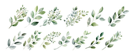 Set of greenery leaves watercolor isolated on white background. Foliage leaf branch collection, summer decorative. Vector illustration.のイラスト素材