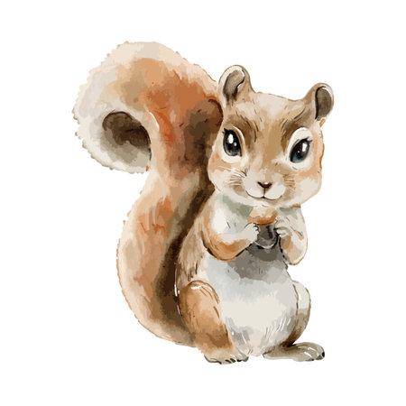 Cute squirrel watercolor, woodland spring animal illustration hand drawing, wildlife mammal isolated on white background.のイラスト素材