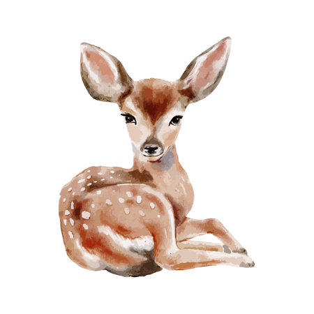 Cute deer watercolor, woodland spring animal illustration hand drawing, wildlife mammal isolated on white background.のイラスト素材