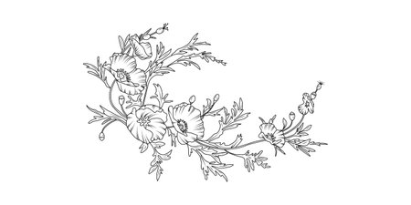 Poppy flower arrangement line art on white background. Silhouette botanical hand drawn element for wedding, invitation frame design, vector illustration.のイラスト素材