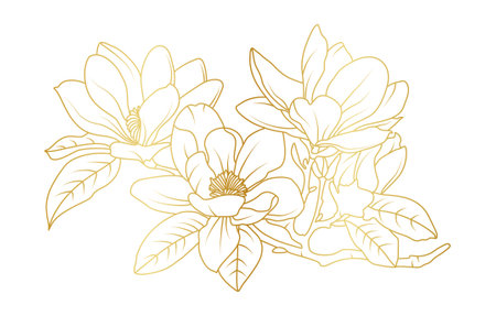 Golden magnolia flowers line art isolated on white background. Luxury magnolia floral design elements for invitation, wedding, wallpaper, print template, vector illustration.のイラスト素材