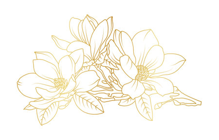 Golden magnolia flowers line art isolated on white background. Luxury magnolia floral design elements for invitation, wedding, wallpaper, print template, vector illustration.のイラスト素材
