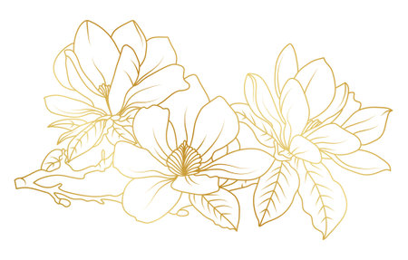 Golden magnolia flowers line art isolated on white background. Luxury magnolia floral design elements for invitation, wedding, wallpaper, print template, vector illustration.のイラスト素材
