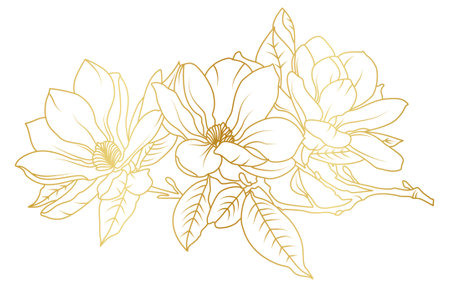 Golden magnolia flowers line art isolated on white background. Luxury magnolia floral design elements for invitation, wedding, wallpaper, print template, vector illustration.のイラスト素材