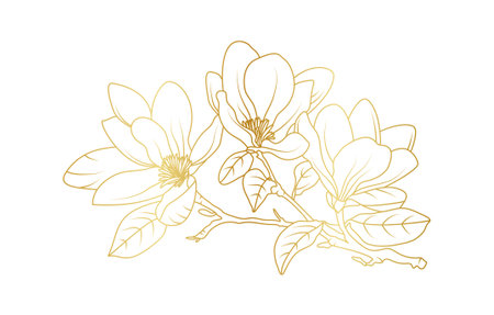 Golden magnolia flowers line art isolated on white background. Luxury magnolia floral design elements for invitation, wedding, wallpaper, print template, vector illustration.のイラスト素材
