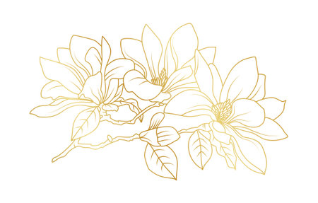 Golden magnolia flowers line art isolated on white background. Luxury magnolia floral design elements for invitation, wedding, wallpaper, print template, vector illustration.のイラスト素材