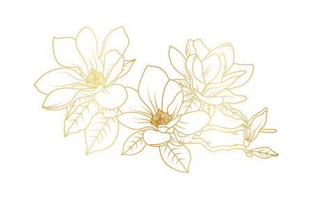 Golden magnolia flowers line art isolated on white background. Luxury magnolia floral design elements for invitation, wedding, wallpaper, print template, vector illustration.のイラスト素材