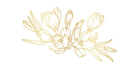 Golden crocus flowers line art isolated on white background. Luxury crocus floral design elements for invitation, wedding, wallpaper, print template, vector illustration.のイラスト素材